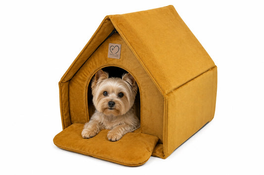 Imperial Amber-Hütte/Häuschen für Hunde und Katzen