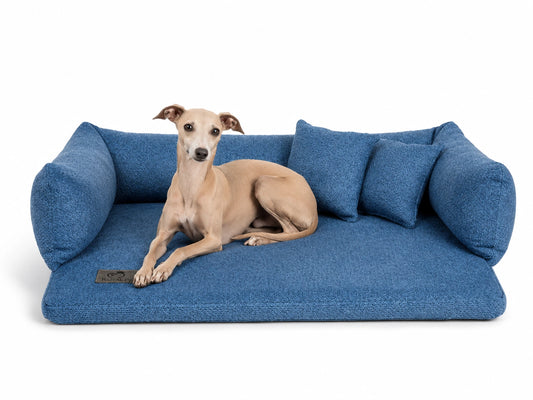 Orthopädisches Sofa Miracle Aqua