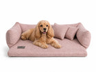 Sofa ortopedyczna Miracle Aurora