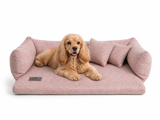 Orthopädisches Sofa Miracle Aurora