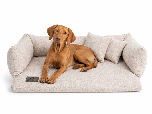 Orthopädisches Sofa Miracle Gaia