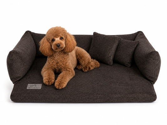 Orthopädisches Sofa Miracle Wenge