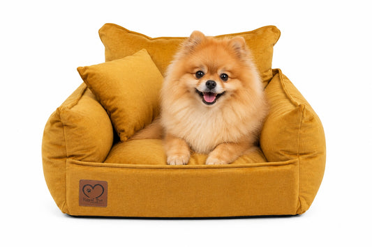 Imperial Amber-Thron/Sessel für Hunde und Katzen