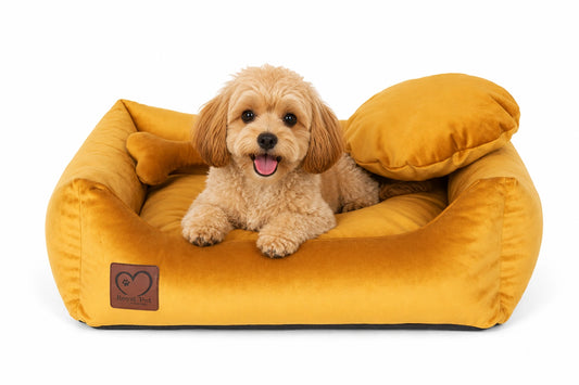 Luxury-Bett (Amber) für Hunde und Katzen