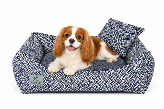 Vintage-Old-Jeans-Hundebett