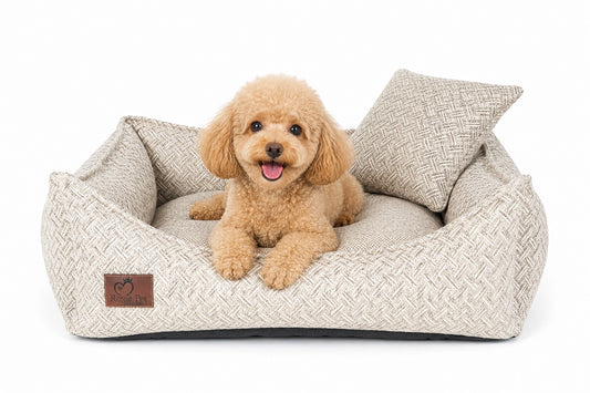 Vintage-Antique-Cream-Hundebett